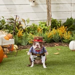 NEW w/ Tag Frisco Front Walking Cowboy Dog & Cat Costume Size XS Chihuahua, Pug